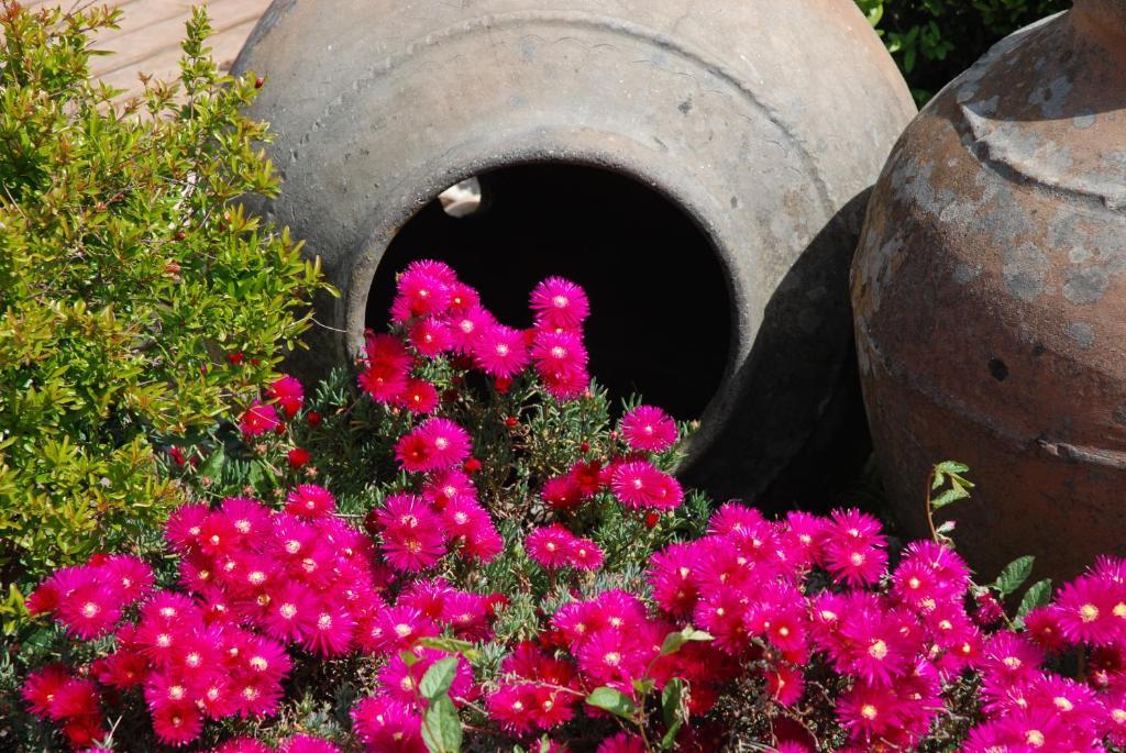 Hotel A Flor Da Rosa Crato Zewnętrze zdjęcie